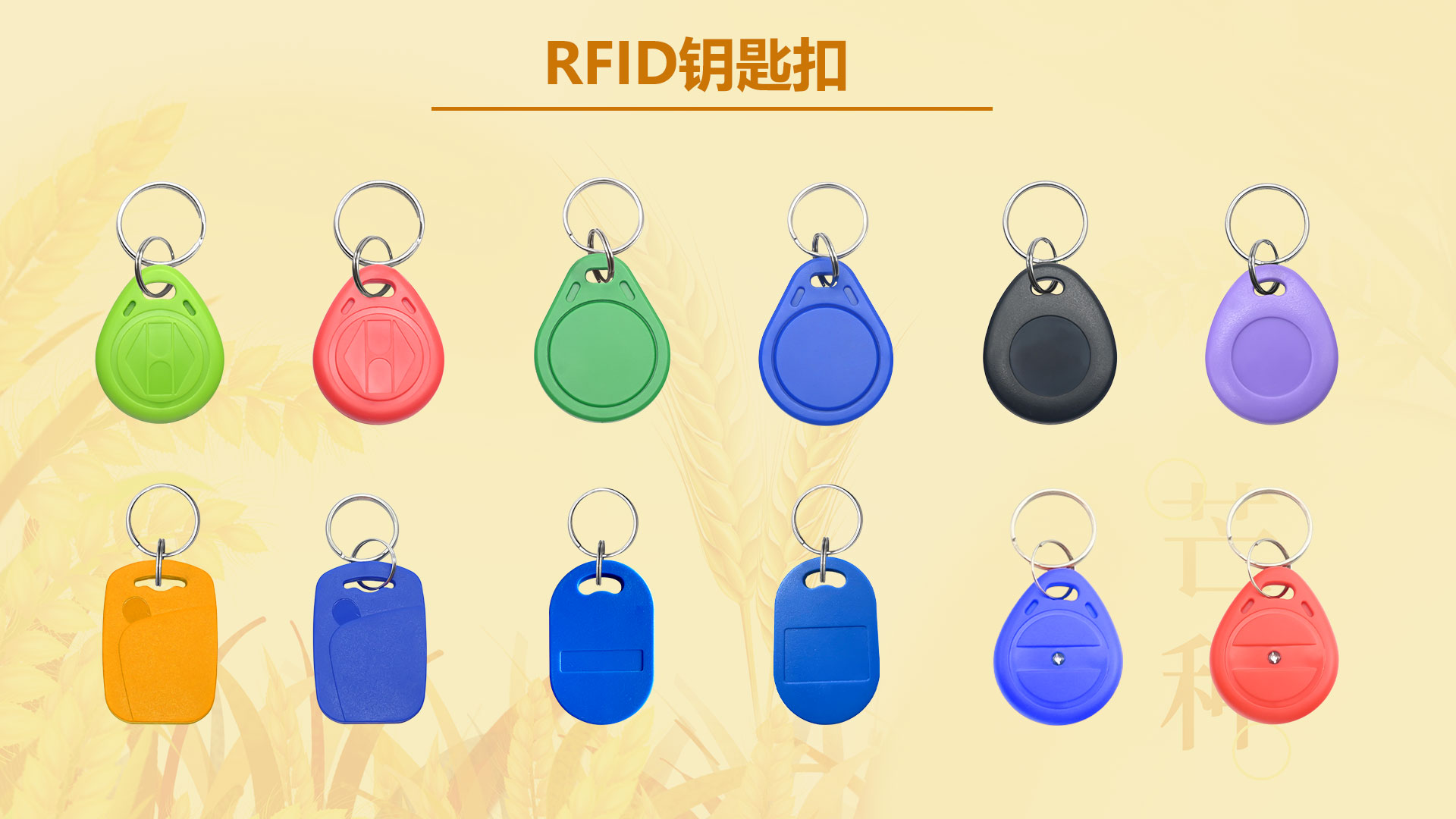 微信图片_20260602153930_5426_127 微信图片_20260602153930_5426_127